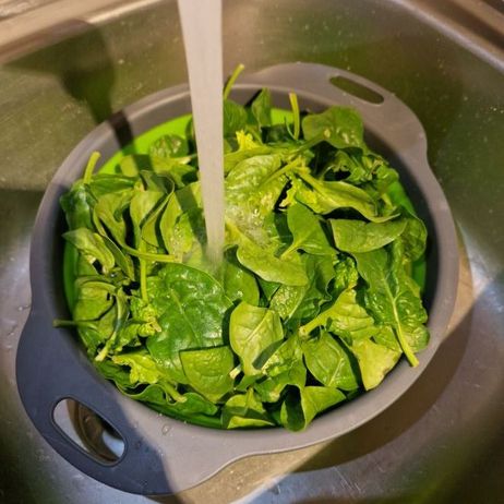 Gnocchi-Auflauf mit Blattspinat: Nimm den frischen Blattspinat und wasche ihn gründlich unter kaltem Wasser. 